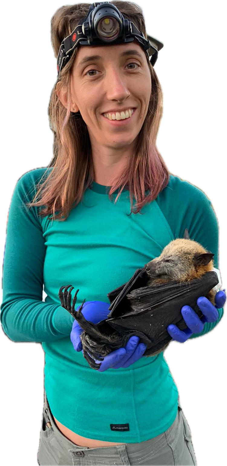 Dr Annabel Dorrestein holding a Christmas Island flying-fox during fieldwork
