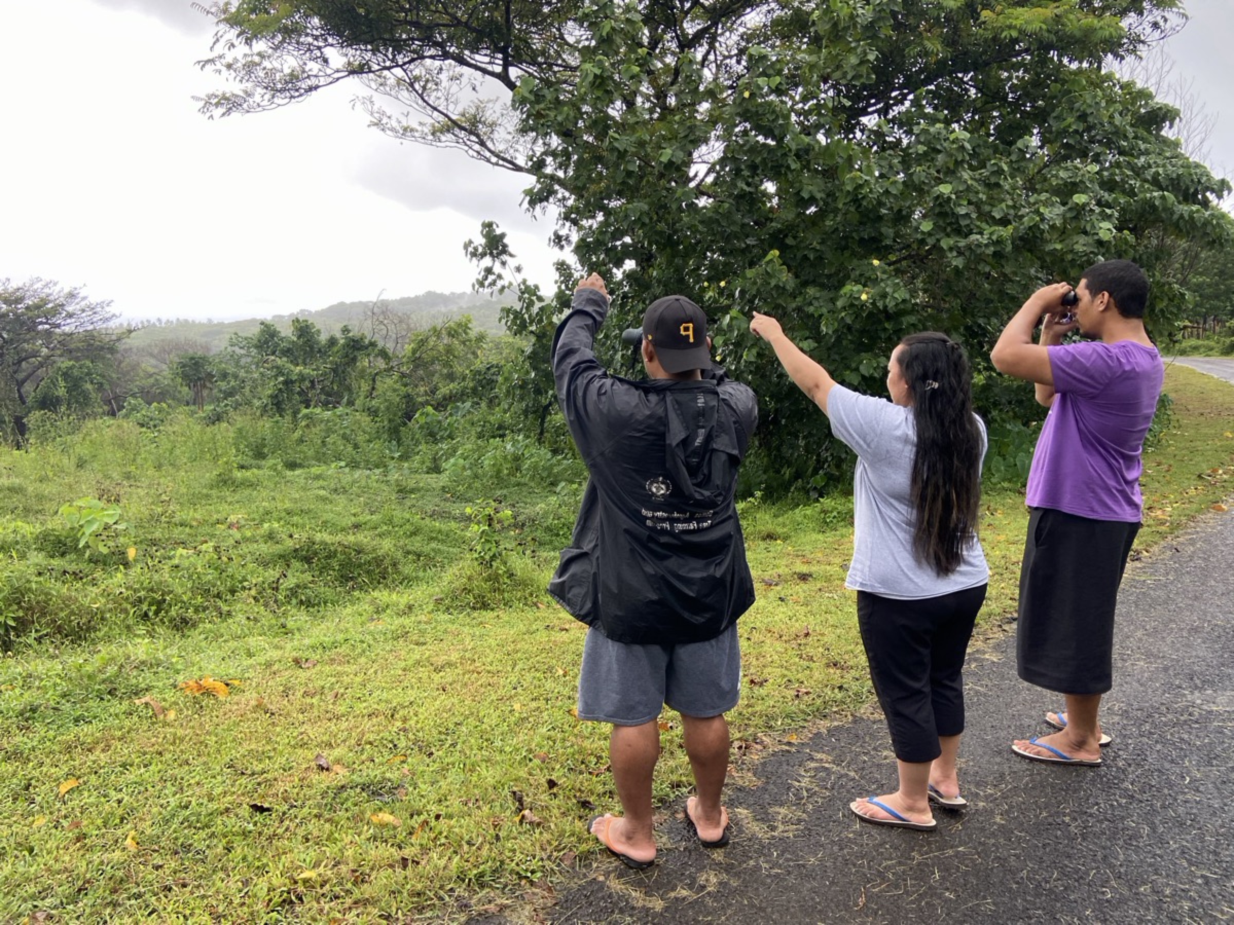 National bat-survey training in Samoa