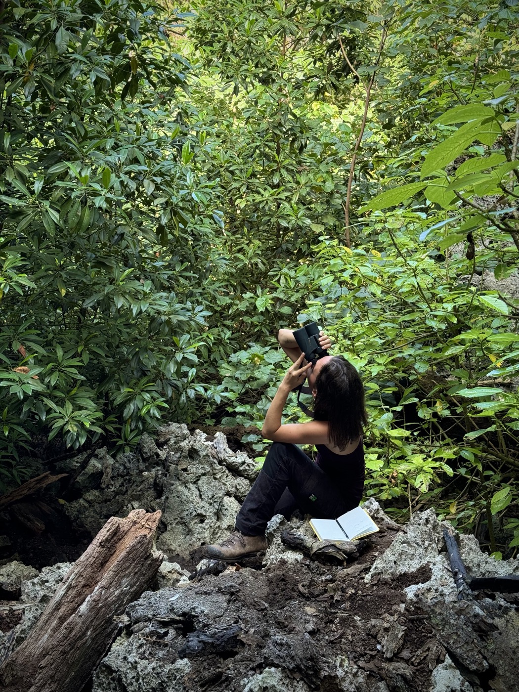 Observing wildlife with binoculars and a field notebook